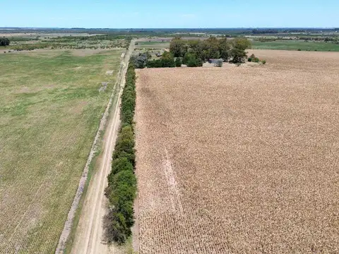Vendo Campo de 349 hectáreas en Gualeguaychú, Entre Ríos.