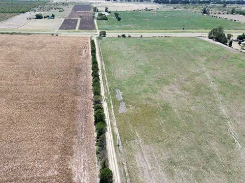 Vendo Campo de 349 hectáreas en Gualeguaychú, Entre Ríos.