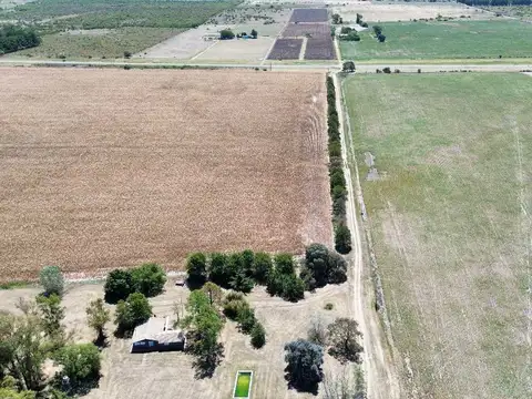 Vendo Campo de 349 hectáreas en Gualeguaychú, Entre Ríos.