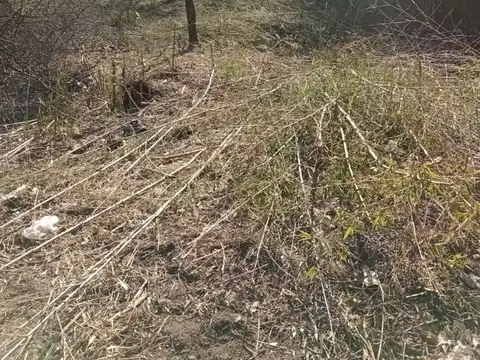 Terreno en Venta de 800,0 m2