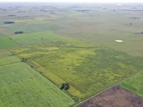 Terreno en Venta de 1120000,0 m2