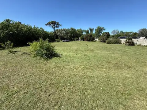 IMPORTANTE TERENO O PREDIO EN ZONA CAAMAÑO 100