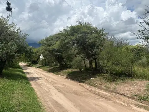 Terreno en Venta de 17199,0 m2