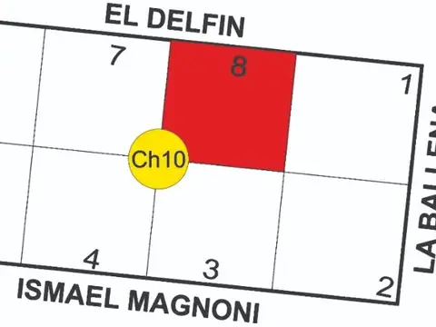 El Delfín e/ El Tiburón