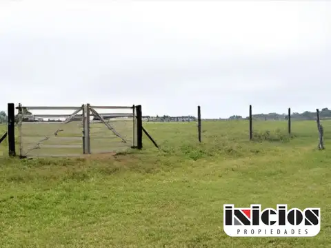 Lote: El Delfín E/ El Tiburón y La Ballena - Esmeralda - B594