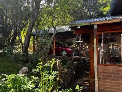 Parque Nacional Lanin 800