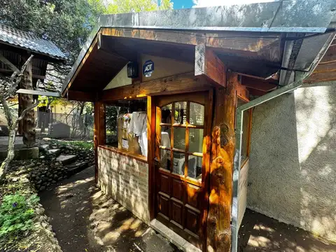 Parque Nacional Lanin 800