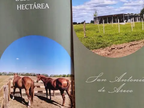 Camino Del Yameo S/n