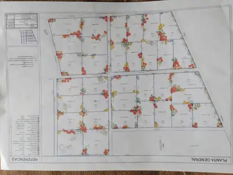ARECO - LOTES DE 1 HECTAREA - EL GALO