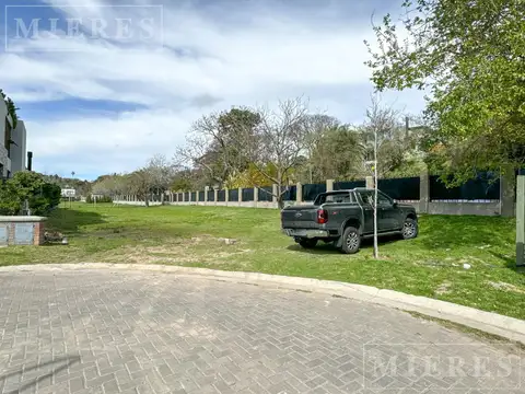 33 Orientales 1100 - Miradores II