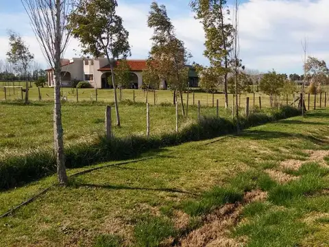 Terreno en Venta de 5368,0 m2