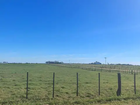 Campo en venta - 12.500Mts2 - Entre Ríos
