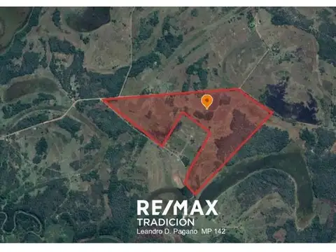 CAMPO GANADERO EN VENTA – 105 HAS- LAS PALMAS