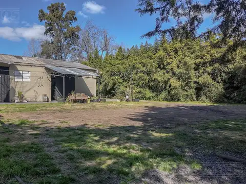 Local en Alquiler 10 años