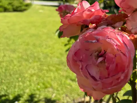 Casa en venta en El Remanso