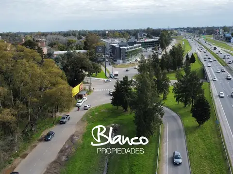 Local en Alquiler A Estrenar