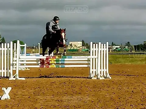 Area 13 Ntra Señora del Carmen s/n