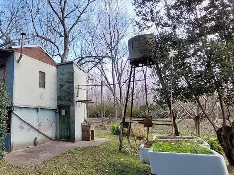 Rio / Arroyo Carabelas Firpi 100