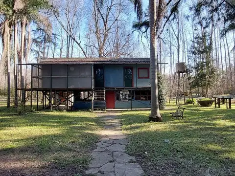 Rio / Arroyo Carabelas Firpi 100