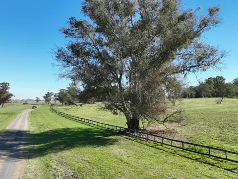 Terreno en Quebradas - 92