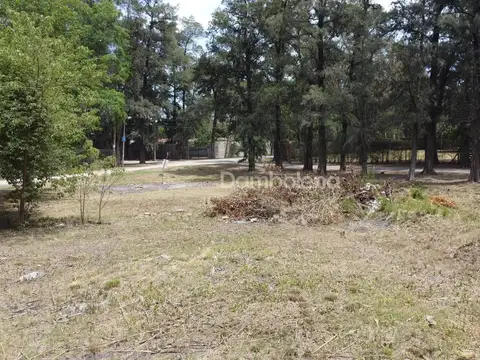 Terreno en Venta en Centro (Moreno), USD 170.000