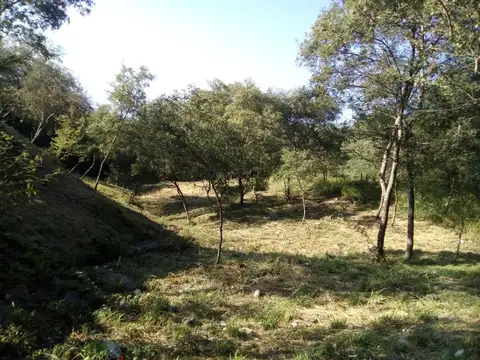 TERRENO EN VENTA CORONEL MOLDES RN 68