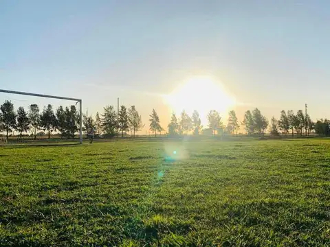 Terreno en Venta de 748,0 m2