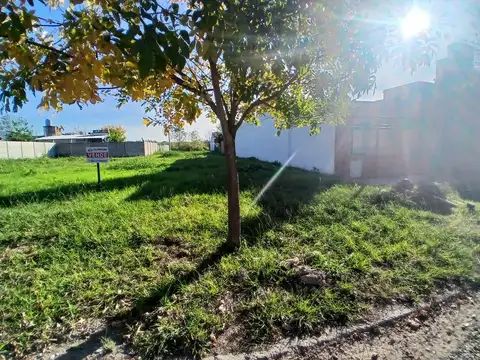 Terreno en Venta 10  mts Frente