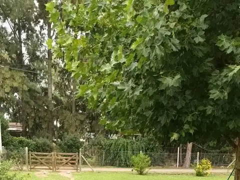 Quinta en Venta en Villa Parque Sicardi, USD 93.000