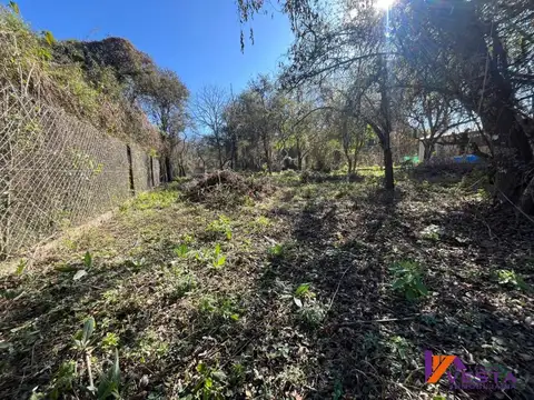 Terreno en Venta 50  mts Fondo