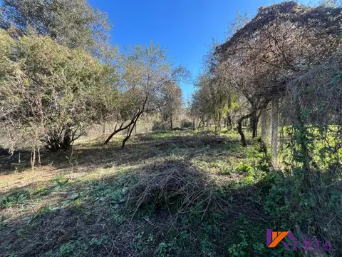 Terreno en Venta en Zona Centro, USD 20.000