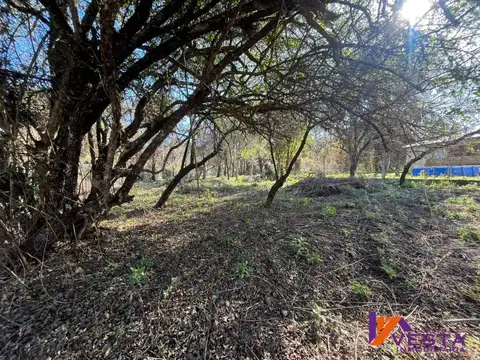 Terreno en Venta 15  mts Frente