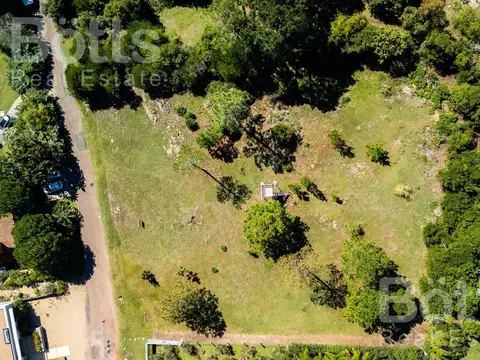 Mar Jonico y Salvador Dali