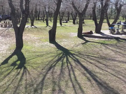 Terreno en Venta de 60000,0 m2