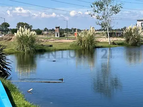 Terreno en Venta 25  mts Fondo