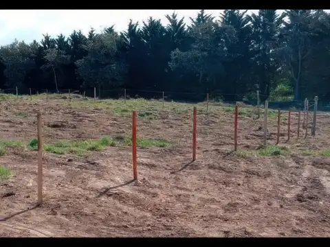 Terreno en Venta de 195,0 m2