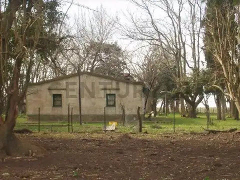 Campo en Venta de 467  ha