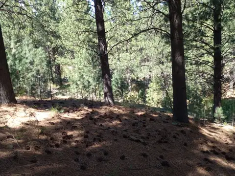 Terreno en Venta de 2707,0 m2