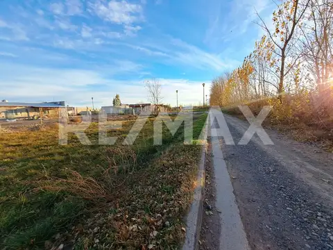 Pedro Ritossa y Los Cactus
