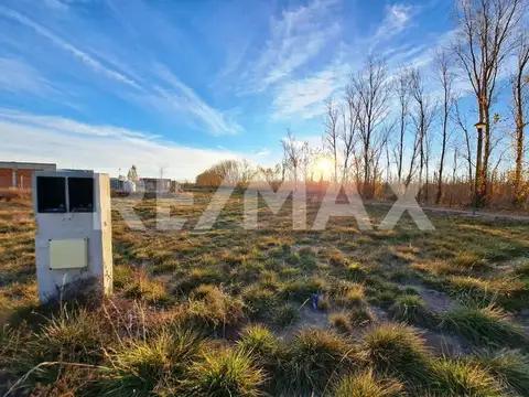 Pedro Ritossa y Los Cactus