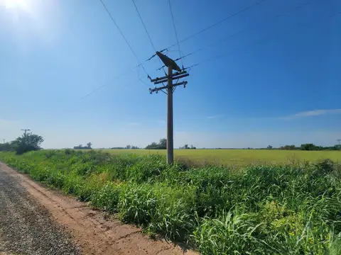 Campo 5,3 ha a 27 km de Rosario (Arroyo Seco Limite con Gral Lagos)