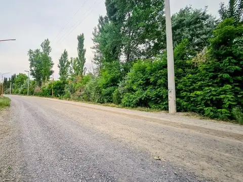 Terreno en Venta de 300,0 m2