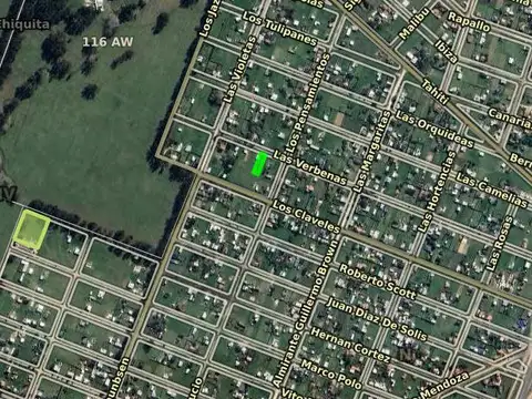 Las Verbenas e/ Los Pensamientos y Las Violetas