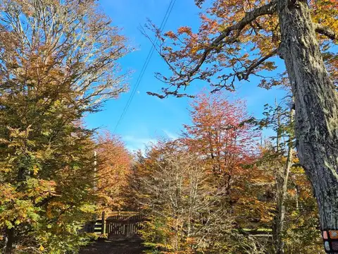 Casa en Venta 7 años