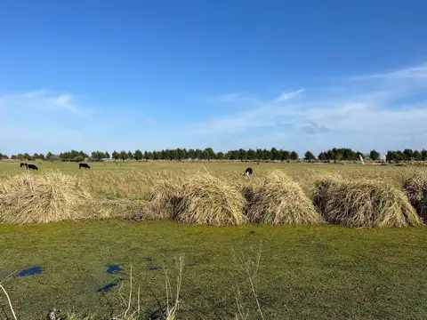 VENTA CHACRA LA MANSA