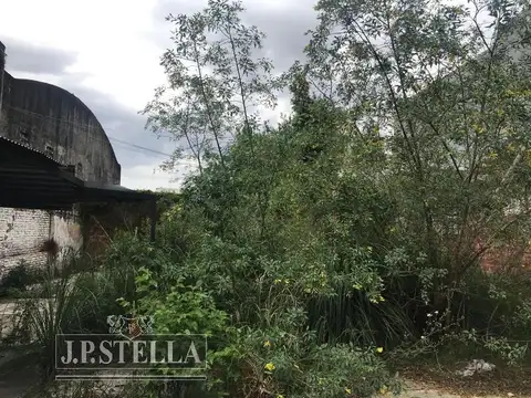 Monseñor Marcon al 2800