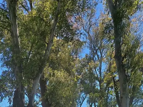 Ruta 4 cardales km 3,5 100