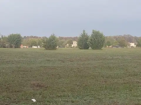 Terreno en Venta de 11113,0 m2