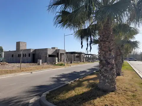 Calle 5 y Ruta 40 100