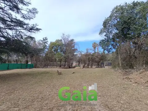 Mariano Moreno al 100